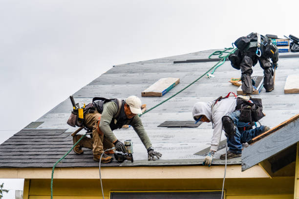 Professional Roofing technician working in Guys, TN